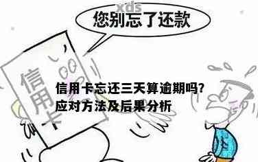 信用卡逾期5天还款被忘记怎么办？全面解决逾期还款问题的指南