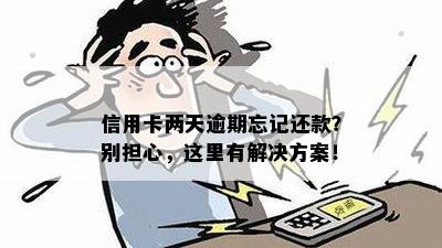 信用卡逾期5天还款被忘记怎么办？全面解决逾期还款问题的指南