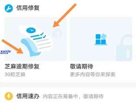 芝麻信用逾期记录恢复时间：如何快速修复？