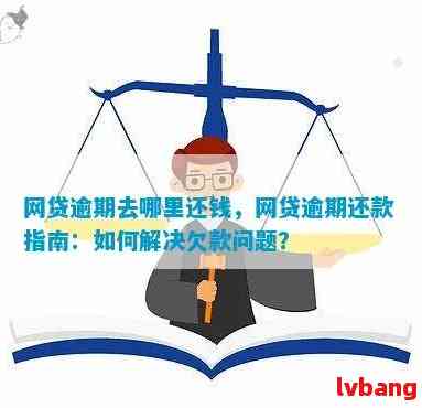 网贷逾期后，是否可以尝试抵押贷款解决还款问题？