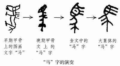 普洱茶的历沿革与文化传承：从古至今的演变过程