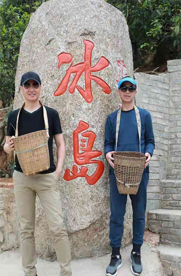 十大名山普洱茶：口感特点与独特风味探析