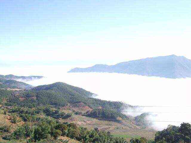 光芒山：西双版纳勐海县的自然瑰宝与普洱茶文化的交融之地