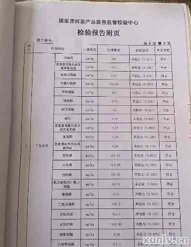 明茶厂普洱茶测评分析报告：品质全面解读