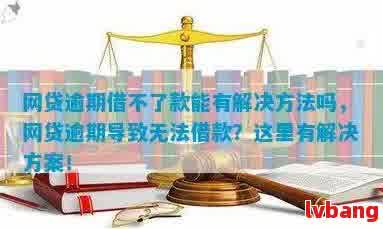 网贷逾期未发生却无法再次借款？解决方案一网打尽！