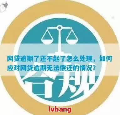 网贷逾期未发生却无法再次借款？解决方案一网打尽！