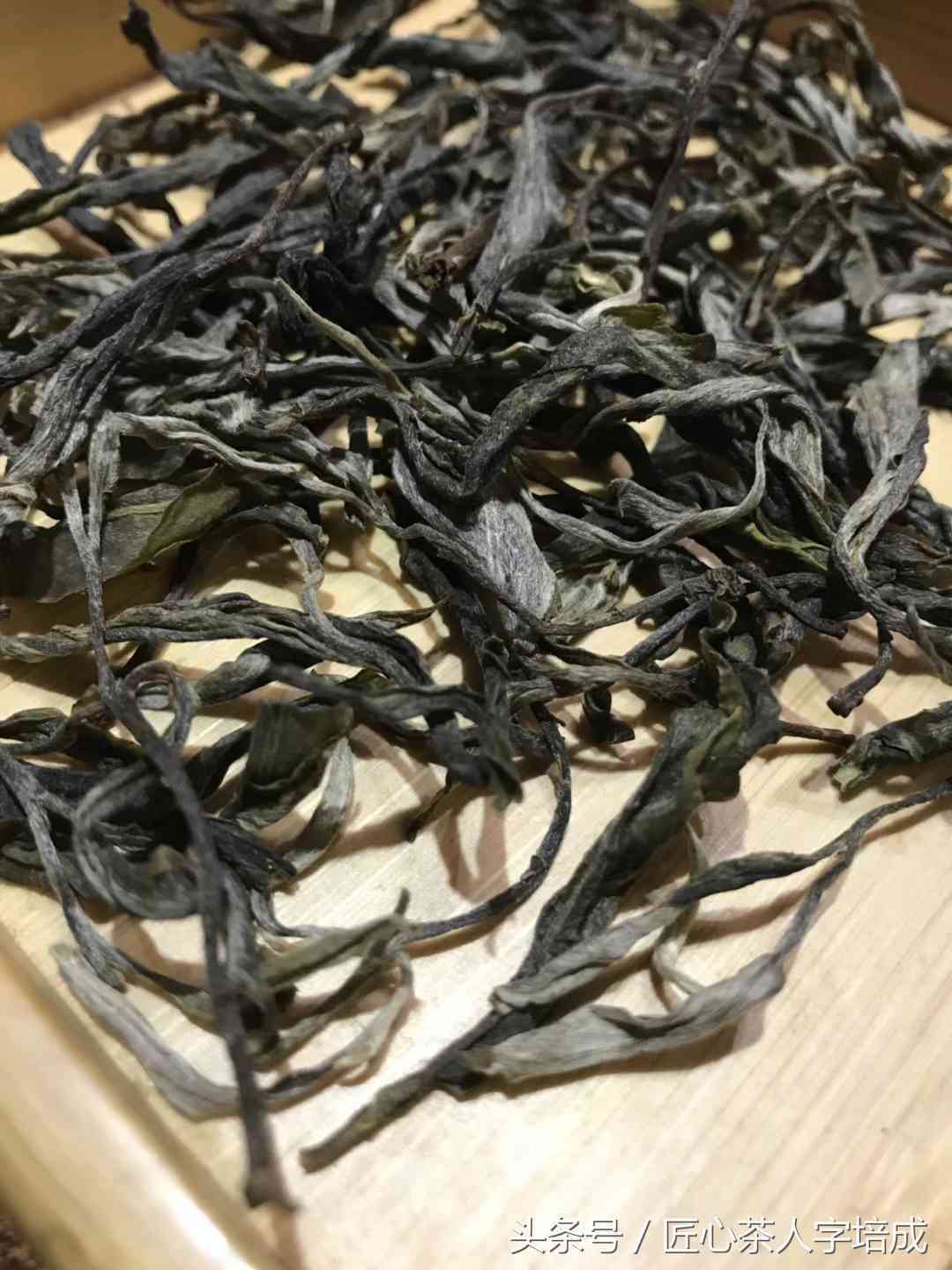 普洱茶泡出茶梗怎么回事