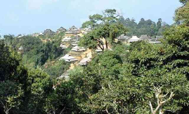 普洱茶原产地冰岛古树茶