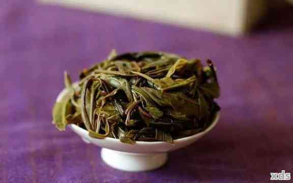 天门山普洱茶：品种特色、产地环境与品尝技巧的全面解读