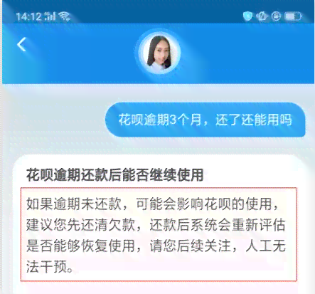 逾期花呗还款攻略：如何迅速还清欠款