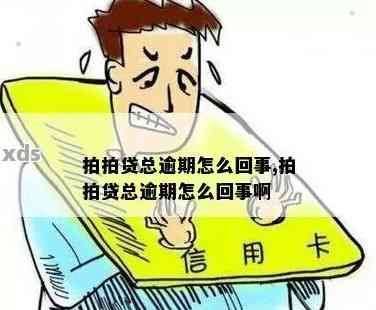 信用显示存在逾期，这是怎么回事？