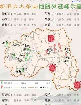 探究普洱茶六大茶山：古六大与新六大的地域特色与品种特点