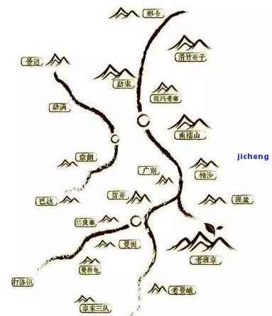 探究普洱茶六大茶山：古六大与新六大的地域特色与品种特点