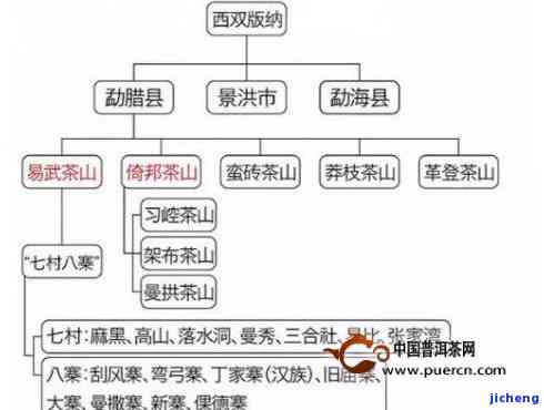 探究普洱茶六大茶山：古六大与新六大的地域特色与品种特点