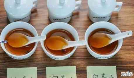 使用无茶漏冲泡普洱茶：可行还是不可行？