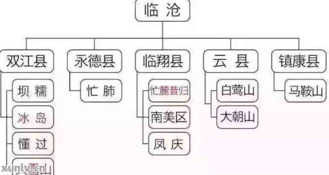 全面了解国内知名普洱茶：从产地到口感，一网打尽！