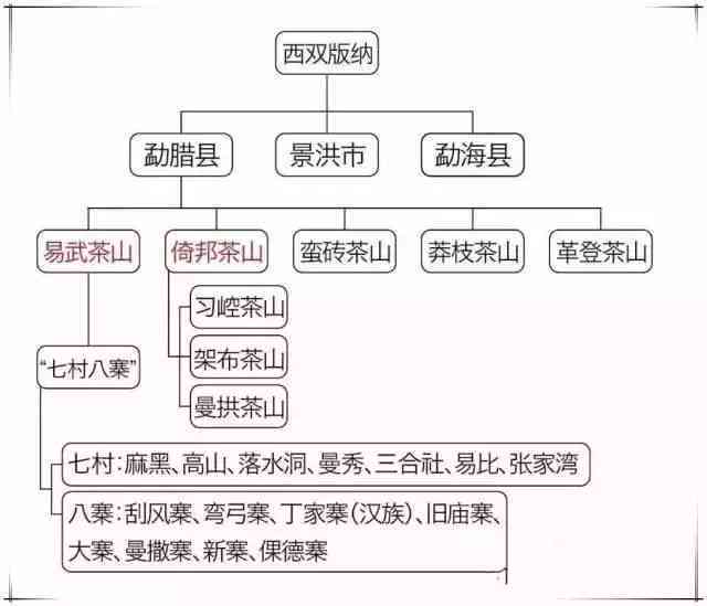 全面了解中国著名普洱茶：从产地、口感、功效到购买指南的一文解析