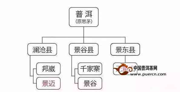 全面了解中国著名普洱茶：从产地、口感、功效到购买指南的一文解析