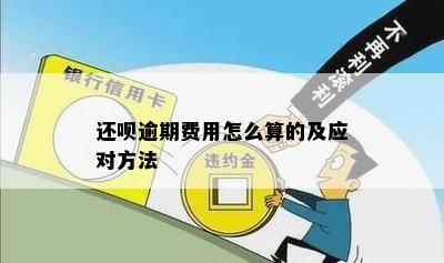 还呗逾期后有什么方案吗