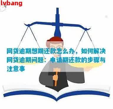 为什么逾期了还能借到网贷