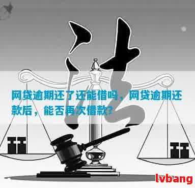 为什么逾期了还能借到网贷