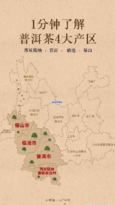 普洱茶产地口感区别在哪？云南、福建、广东三大茶区的特色分析