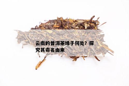 云南有名海普洱茶名字：探寻云南普洱茶的名品与历