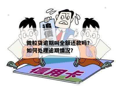 微粒贷逾期还款问题：能否减少还款金额？如何处理？