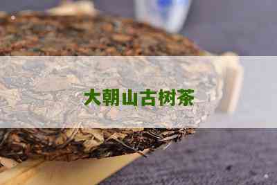 大朝山古树茶价格、品质及选购指南：全面了解大朝山古树茶的相关信息