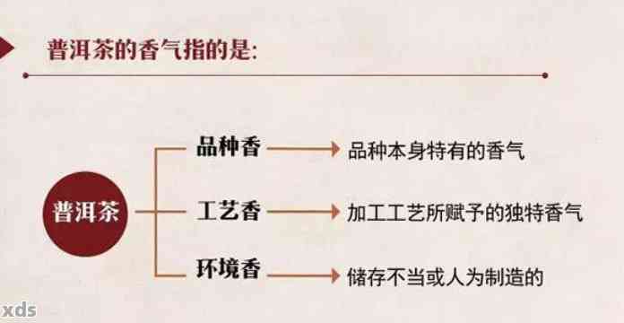 普洱茶香气的奥秘解析：揭示其独特风味形成过程