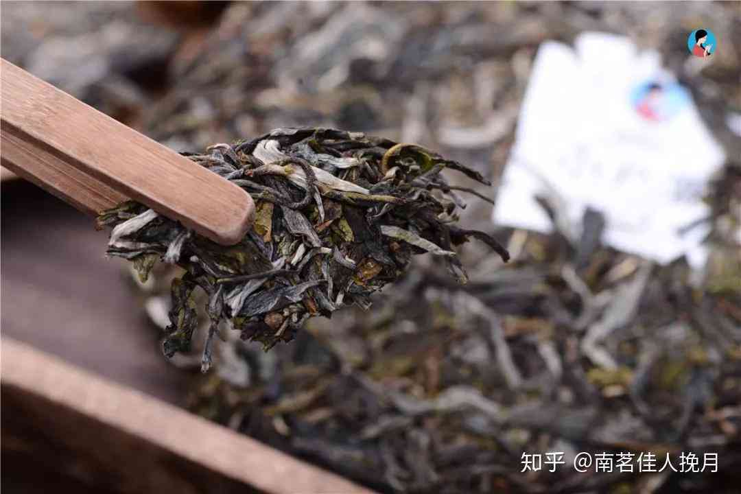 真假名山普洱茶怎么辨别？如何看待普洱茶名山价格高？