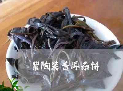 紫尊普洱茶饼怎么泡好喝