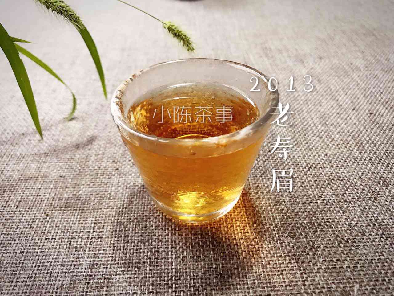 白茶与普洱茶：价格差异及其影响因素探讨