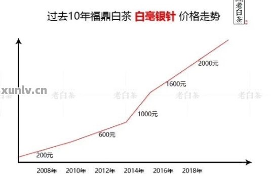 白茶与普洱茶的价格对比：哪个更昂贵？同时探讨其他可能影响价格的因素