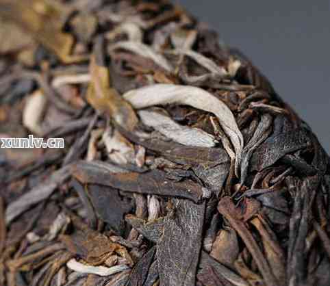 如何全面了解普洱茶品质的鉴别方法，解决用户关于普洱茶品质的各种疑问