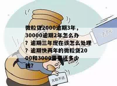 微粒贷30000逾期2年：处理方式和可能的后果