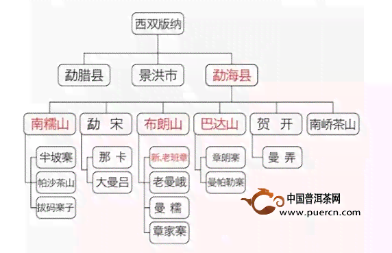 探寻普洱茶收藏山头：全方位解析与比较，助您做出明智选择