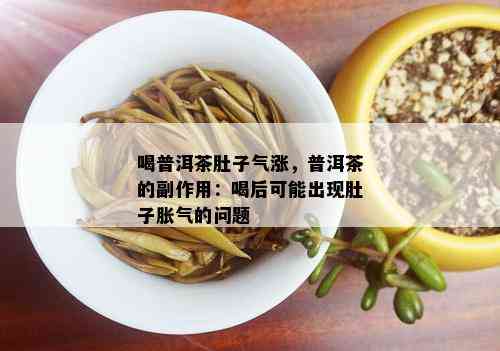 普洱茶饮用后出现腹胀症状，你需要注意这些方面