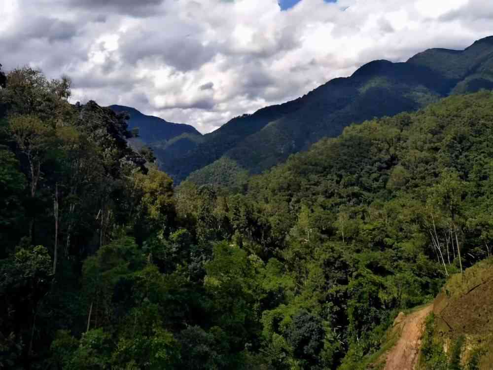 普洱茶各山头甜度对比：哪些山头的普洱茶更甜？