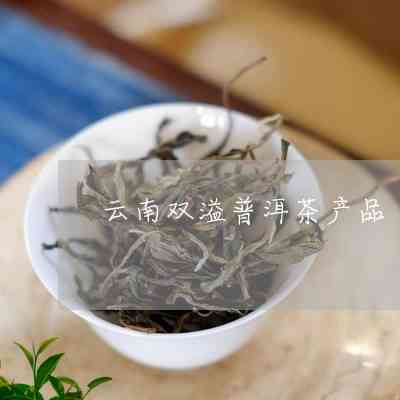 双益普洱茶好吗？值得买吗？双溢普洱茶怎么样？