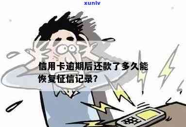 信用卡逾期后多久可以修复信用记录