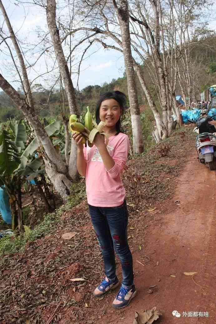 普洱茶饼泡完还是硬的好喝：探讨普洱茶的泡法及口感