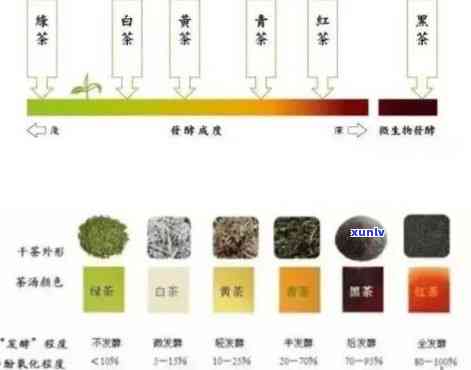 深入了解普洱茶泡制：颜色变化原理与品鉴技巧