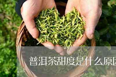 普洱茶尝不出甜味正常吗