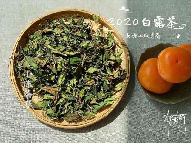 金毫是红茶还是普洱茶好