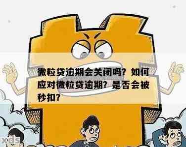 微粒贷关闭还款入口后果如何处理？