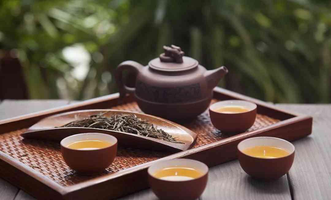 探究普洱茶冲泡的适宜杯型：大杯还是小杯更合适？