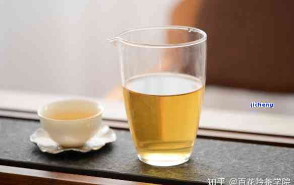 普洱茶大杯喝还是小杯