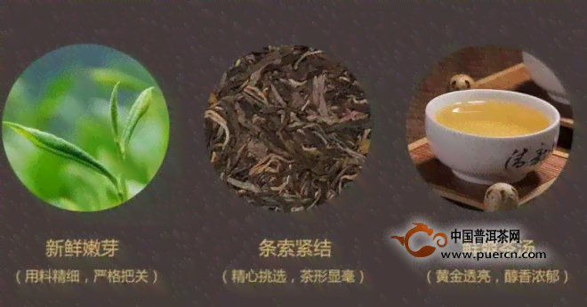 新古树普洱茶的存条件详解，了解如何保持其品质与风味