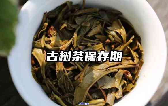 古树普洱茶的保存期限及其品饮方法：一次解读所有疑问